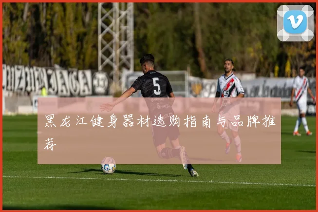 黑龙江健身器材选购指南与品牌推荐