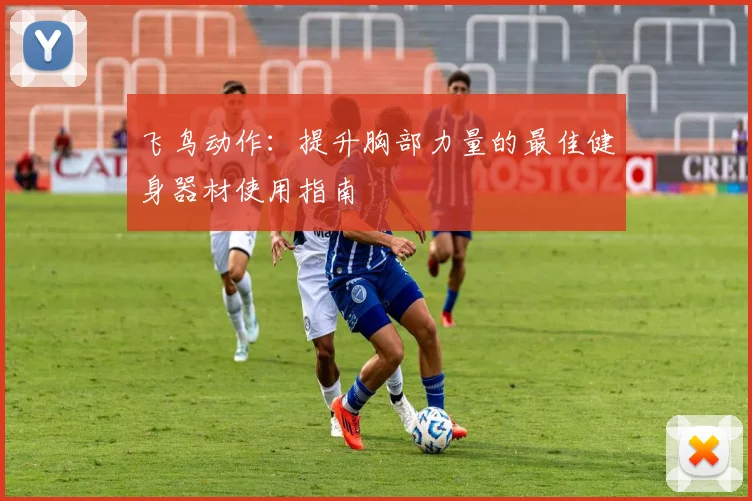 飞鸟动作：提升胸部力量的最佳健身器材使用指南
