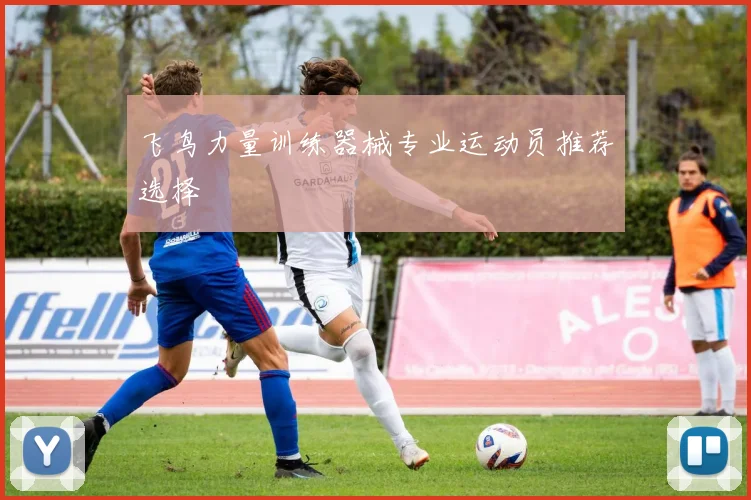 飞鸟力量训练器械专业运动员推荐选择