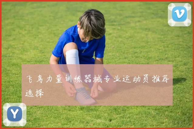 飞鸟力量训练器械专业运动员推荐选择
