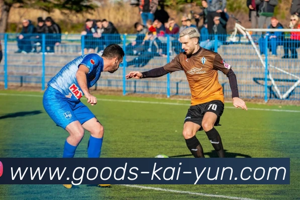 开云平台生态图